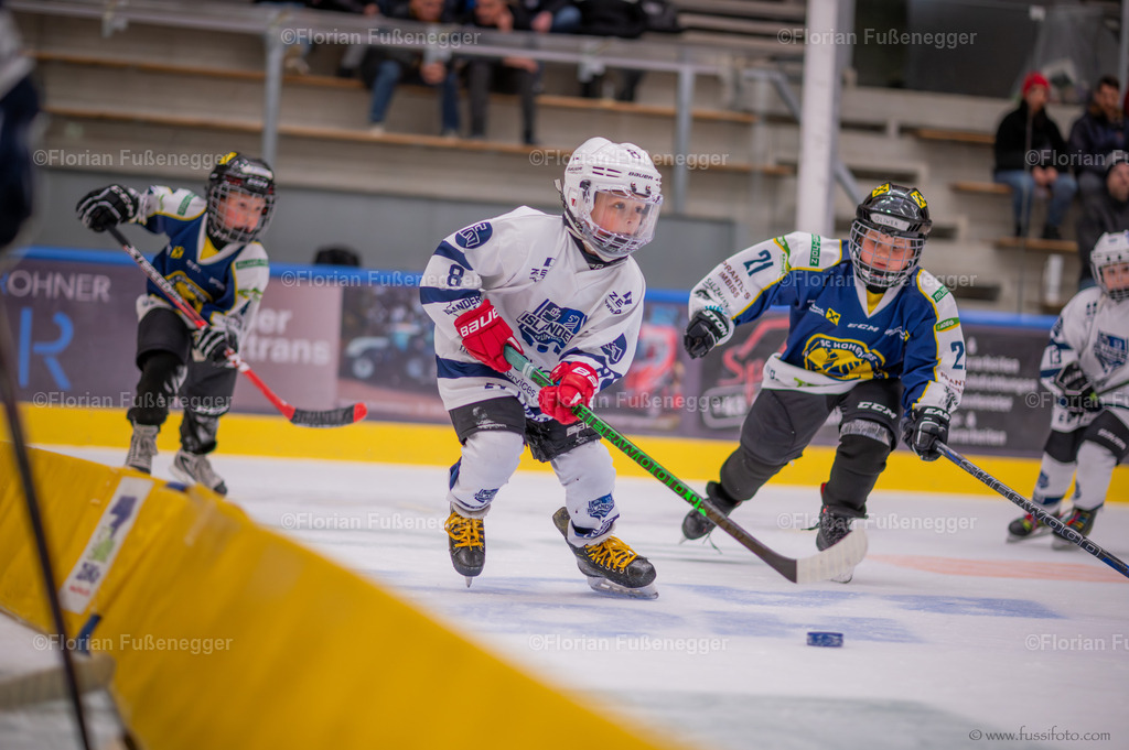 DSC_0814 | "Fussifoto.com – Ihr Ansprechpartner für hochwertige Fotografie! Entdecken Sie kreative Bilder und professionelle Dienstleistungen. Kontaktieren Sie uns für Ihre Projekte!"