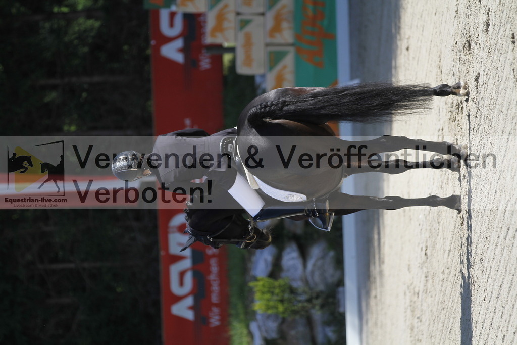 _MG_6460 | equestrian-live-com