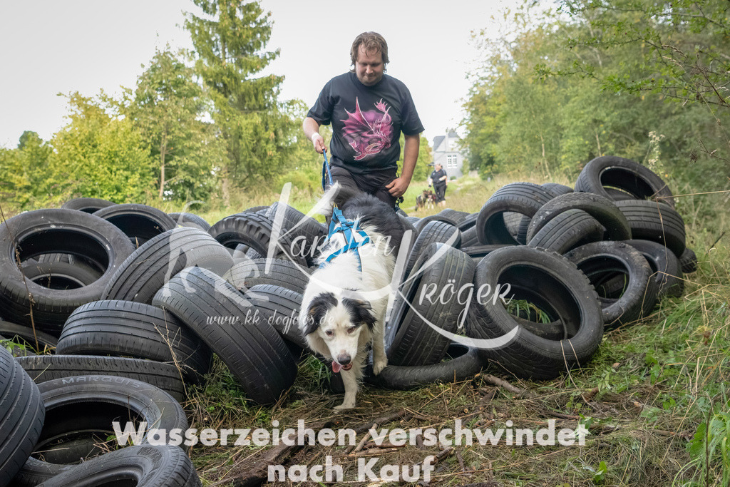 1502_ZZ90864-Bearbeitet | kk-dogfotos