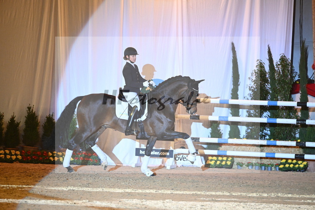 Vangelis_2242058 | hf-fotografie - Realisiert mit Pictrs.com