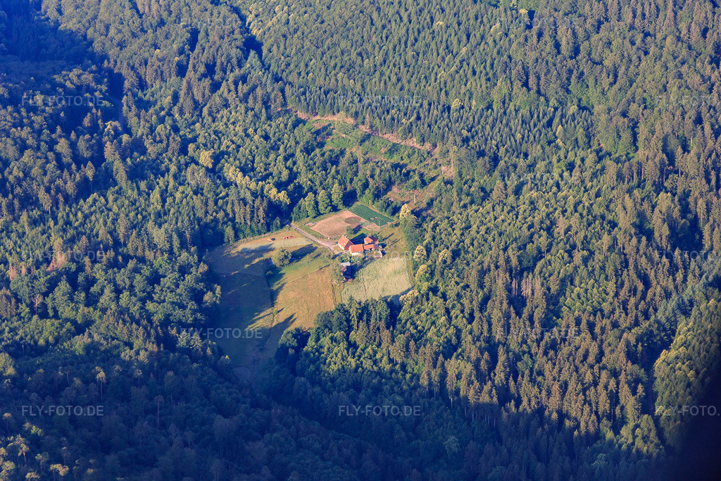 Luftbild: Litschhof in Wingen im Bundesland Bas-Rhin in Frankreich. – Foto: IMG_120936.jpg vom 26.06.2020 durch Werner Riehm/FLY-FOTO.de – Auflösung des Originals: 5472 x 3648 px