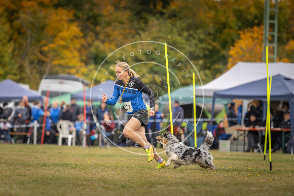 Pfotenfotografie_DV3A3793 | Hundefotografie, Tierfotograf, Pfotenfotografie, Fotoshooting Hund, Hunde Portrait, Hundesport, Hundeportraits, Heideshooting, Hunde, Sportfotograf, Hundefotograf, Turnierhundsport, THS,  - Realisiert mit Pictrs.com