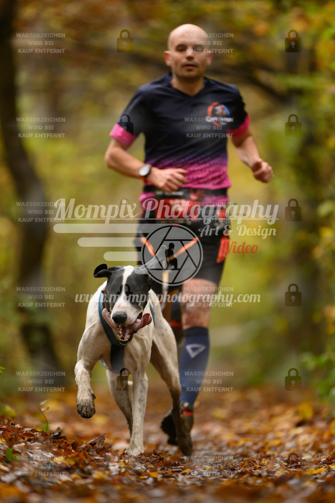 MompixPhotography_CD7S_DI_CCL-28 | mompixphotography