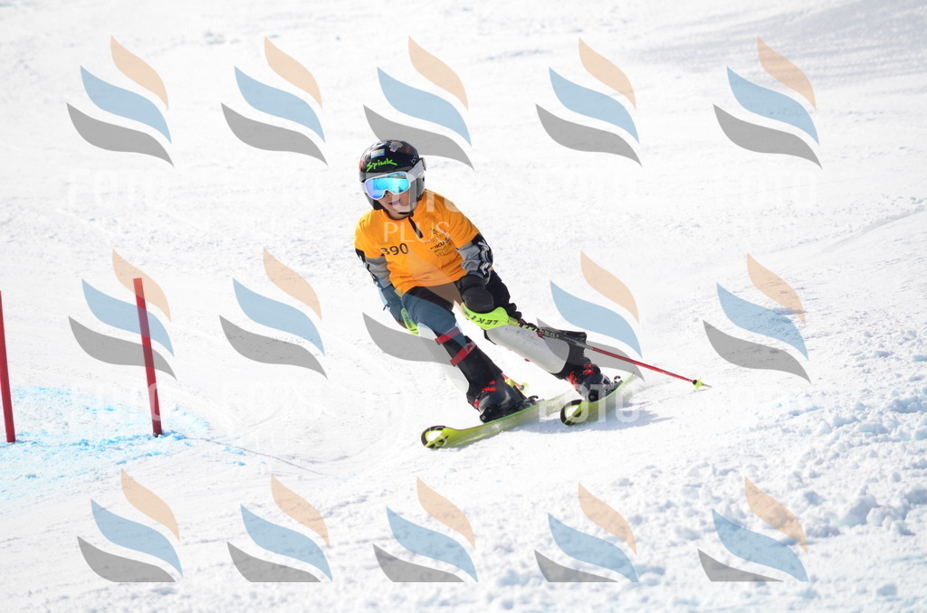 C8784 | holidayphoto