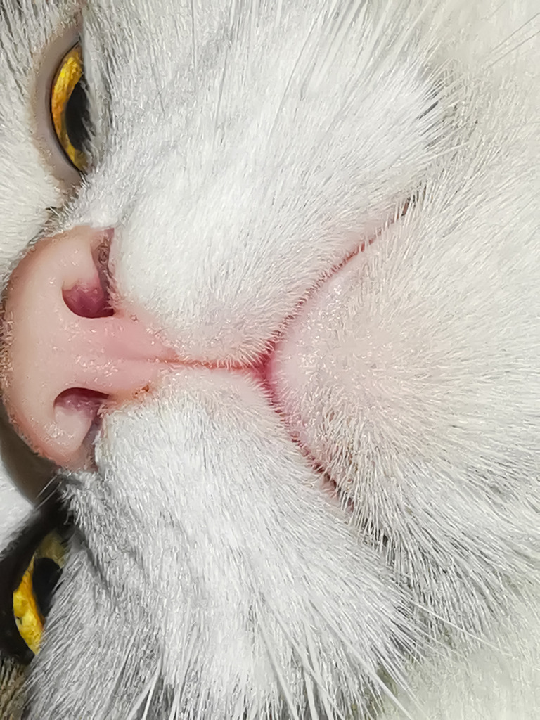 PSX_20230123_220610 | mtkfoto_ - Realisiert mit Pictrs.com