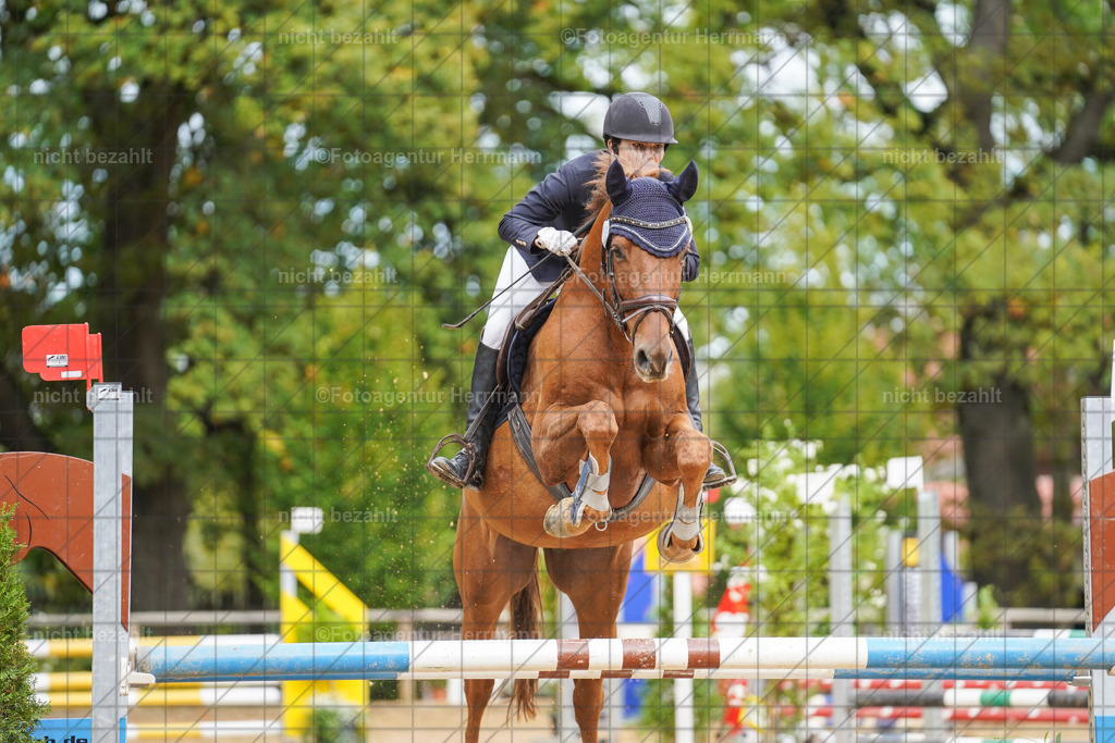 20221009-FAH08757 | Diessen am Ammersee, 2022, Dressur- und Springturnier, Reitsportbilder, Turnierfotografen Bayern, Pferdefotografen, Fotoagentur Herrmann, Turnierbilder