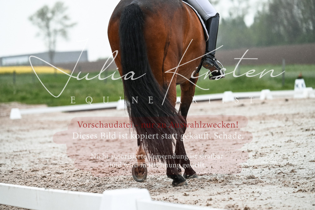 DSC_4583 | Pferde- und Turnierfotografie in Westsachsen. Pferdeportraits, Auftragszeichnungen und intuitive Kunst.
