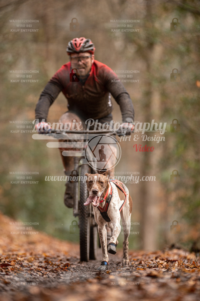 SPA_2023_DIM_Bike-53 | PayLife