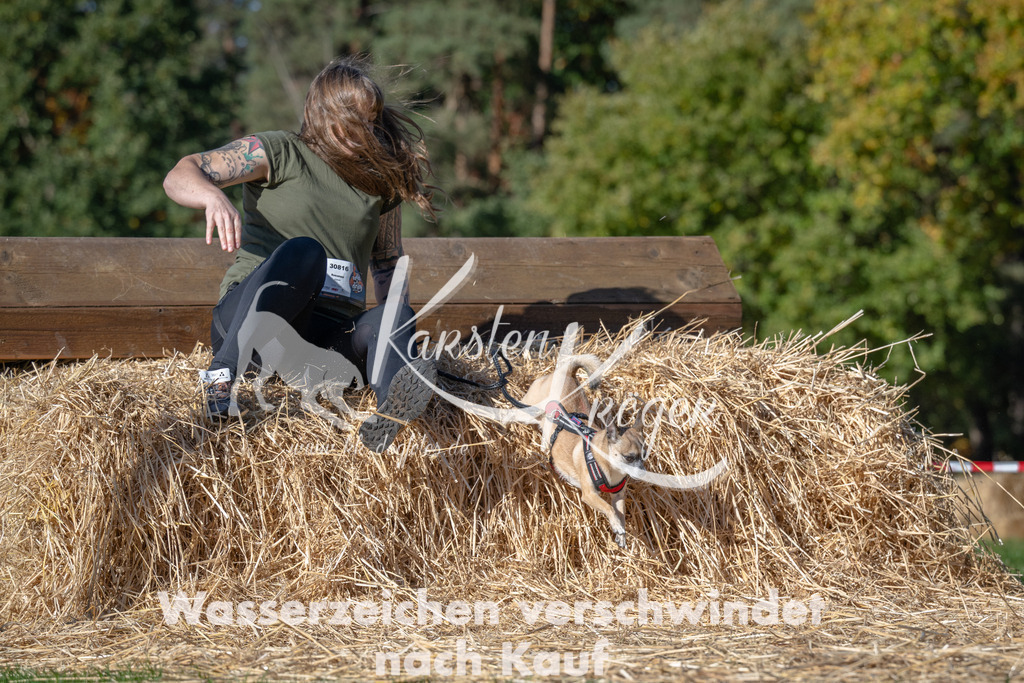 1138_ZZ91099 | kk-dogfotos