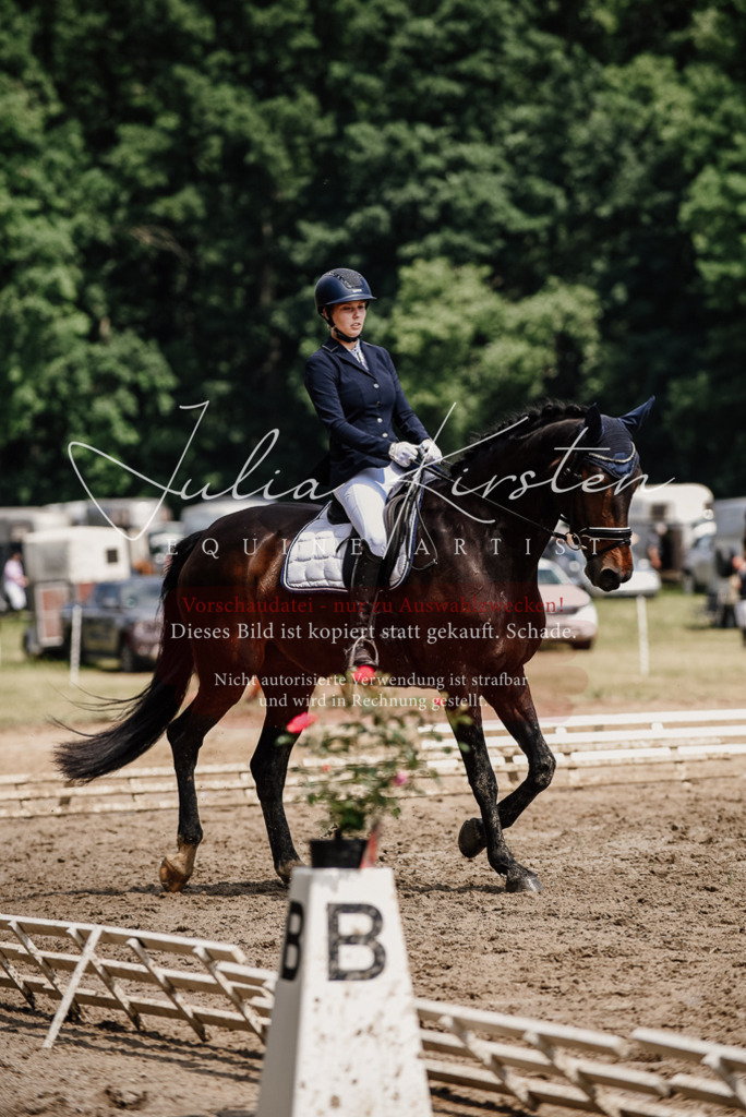 DSC_1480 | Pferde- und Turnierfotografie in Westsachsen. Pferdeportraits, Auftragszeichnungen und intuitive Kunst.