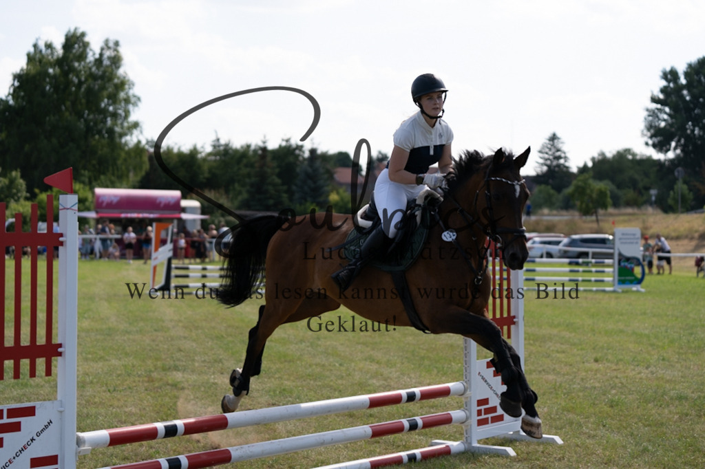 A7V00553 2 | Pferdefotograf