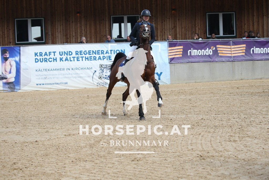 DL2Q4366 | Willkommen bei Brunnmayr - Design & Fotografie – Ihrem Spezialisten für Reitturniere und Pferdeveranstaltungen in Oberösterreich, Salzburg und Bayern! Seit über 17 Jahren sind wir leidenschaftlich dabei.