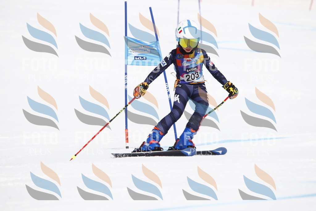 _U3G5274 | holidayphoto