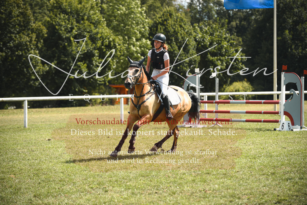 DSC_6786 | Pferde- und Turnierfotografie in Westsachsen. Pferdeportraits, Auftragszeichnungen und intuitive Kunst.