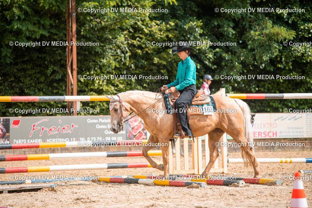 ZS2_7671 | dv-media-shop - Realisiert mit Pictrs.com