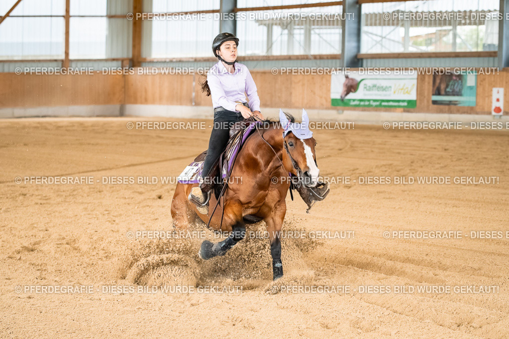 DSC02085 | Pferdegrafie