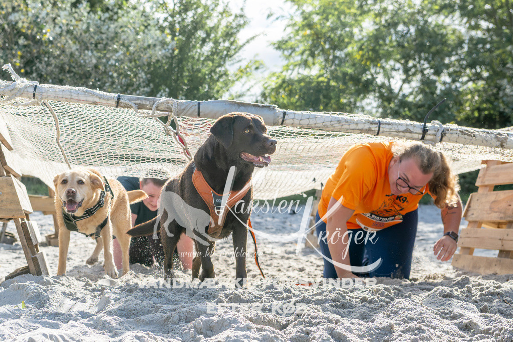 1252_ZZ94077 | kk-dogfotos