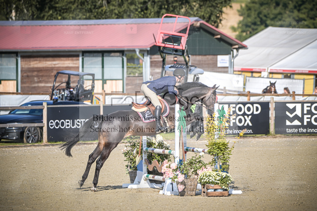 DOS_8921 | Entdecke hochwertige Reitturnierfotos von Foto Oger. Professionell, emotional und authentisch – jetzt Lieblingsmomente im Shop bestellen. - Realisiert mit Pictrs.com