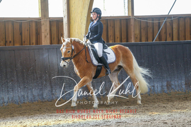 IMG_1001 | Turniersportfotografie; Pferdefotografie; Dressurfotografie