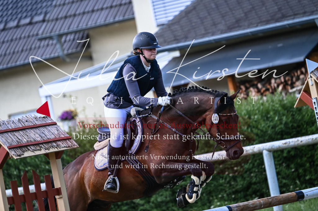DSC_8019 | Pferde- und Turnierfotografie in Westsachsen. Pferdeportraits, Auftragszeichnungen und intuitive Kunst.