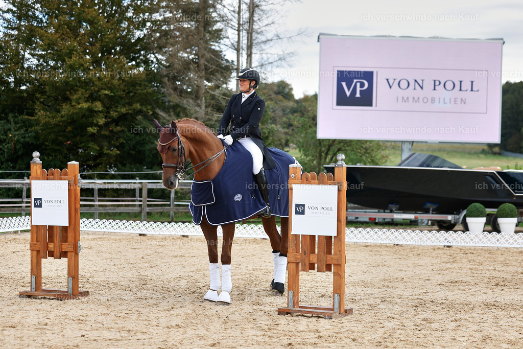 10-Siegerehrung-ST.GEORG SPECIAL -StoibPH-3292 | working equitationturnier fotograf videograf stoibphotography marixx film working equitation deutschland reitsport turnierfotografie eventfotografie equestrian events