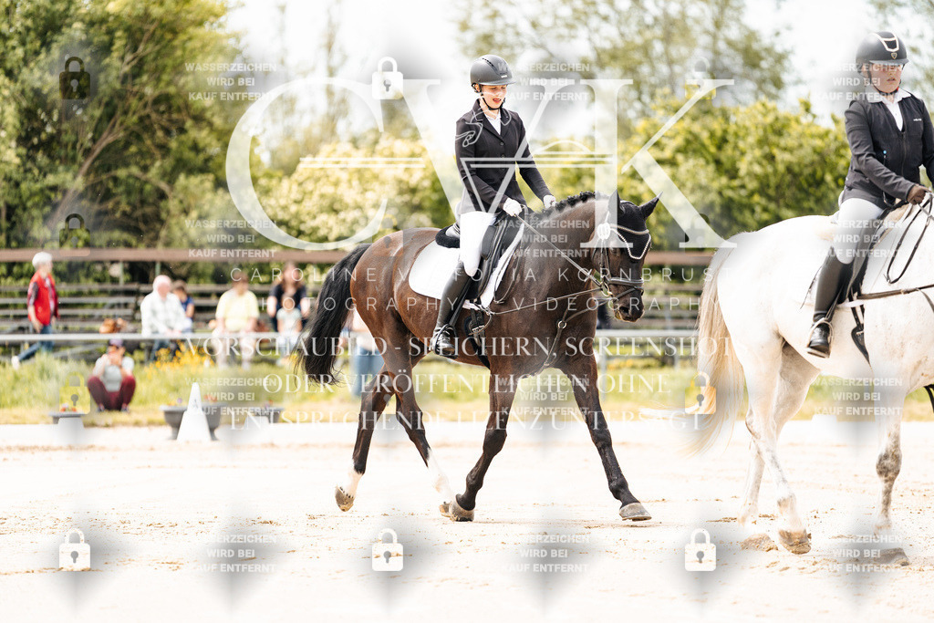 CK902642 | Turnierfotografie Pferdefotografie Trier Rheinland-Pfalz Pferdesport Reitsport Tierfotografie Sportfotografie Pferdevideo Pferdevideografie Equestrianvideography equestrianphotography  - Realisiert mit Pictrs.com