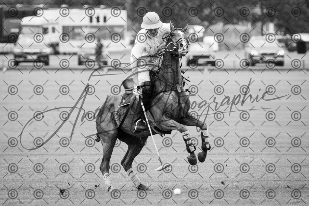 POL_2648-2 | andre_photographic