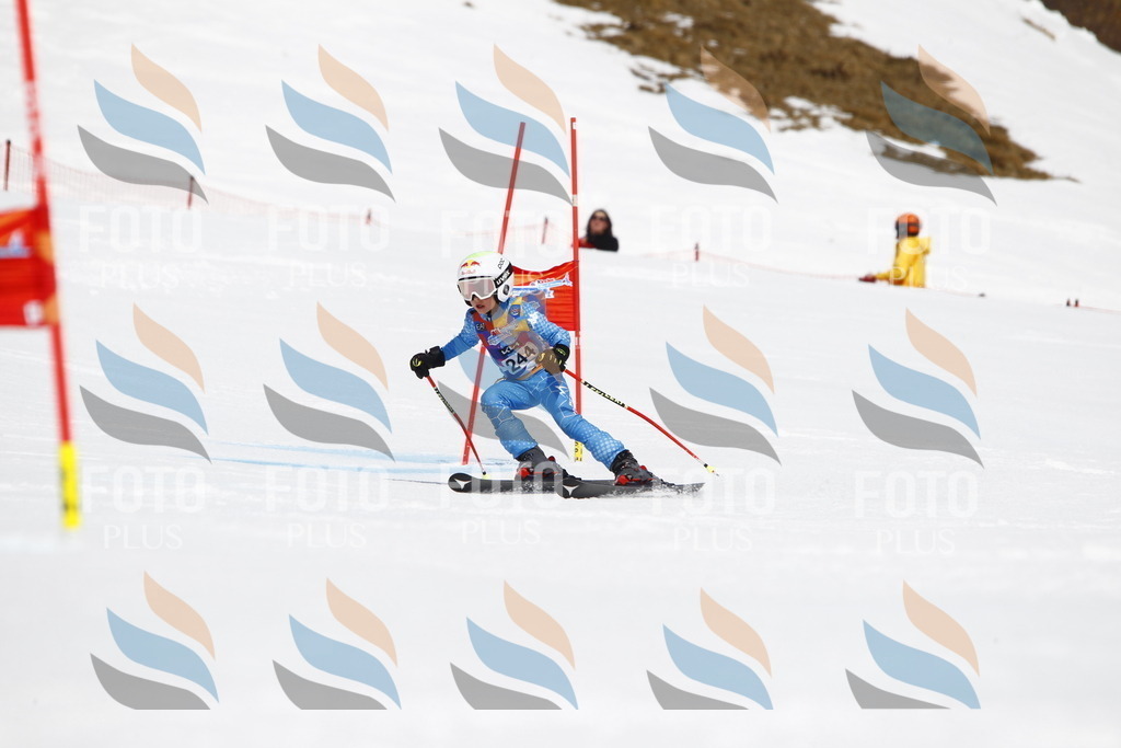 _U3G6161 | holidayphoto