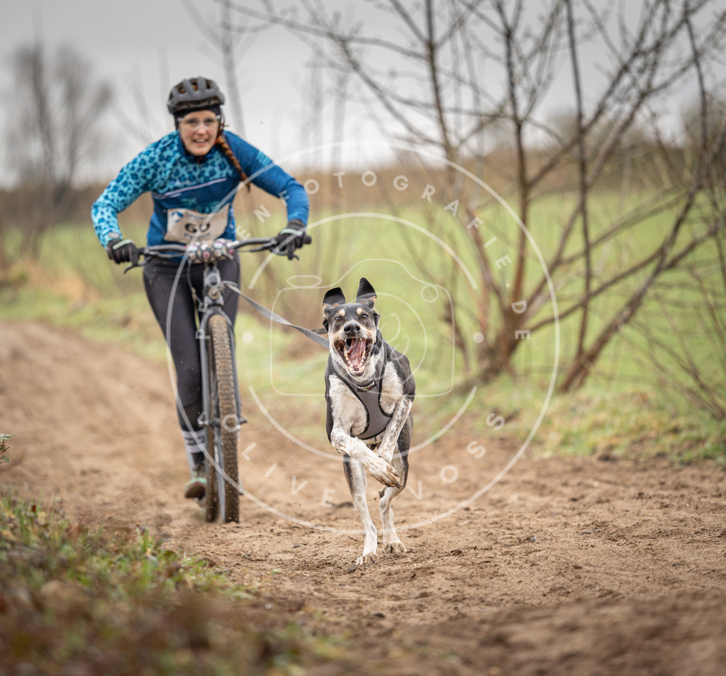 DV3A9197 | Hundefotografie, Tierfotograf, Pfotenfotografie, Fotoshooting Hund, Hunde Portrait, Hundesport, Hundeportraits, Heideshooting, Hunde, Sportfotograf, Hundefotograf, Turnierhundsport, THS, canicross - Realisiert mit Pictrs.com
