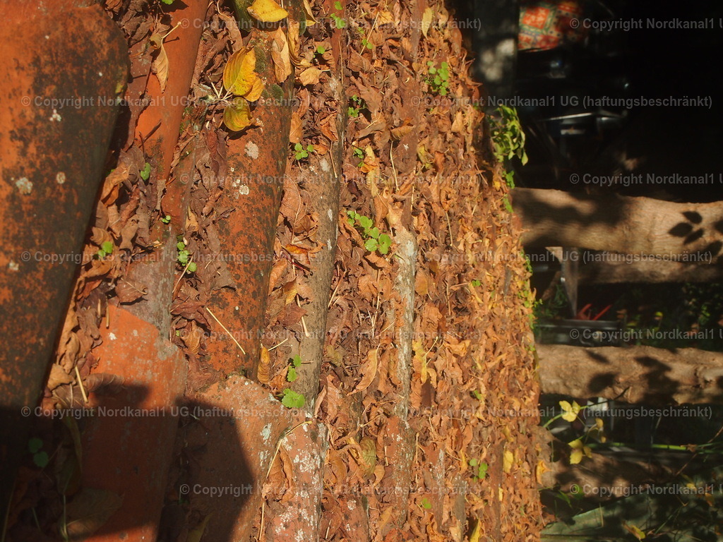 PA272066 | photograph1 - Realisiert mit Pictrs.com