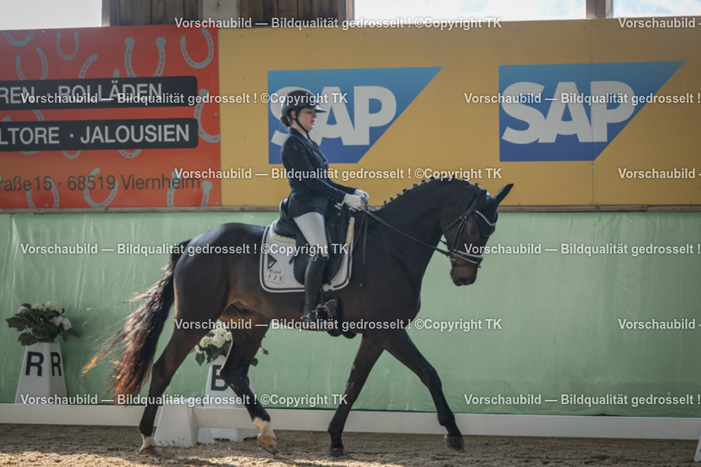 _D5A8472 | Emotionale Pferde- & People-Fotografie rund um Heidelberg, Leimen & Umgebung. Natürliche Fotos von Pferd, Mensch & Familie. Jetzt Termin sichern!
