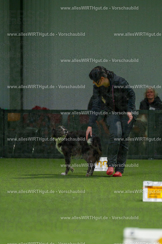 7R507280 | Professionelle Tierfotografie in Mönchengladbach von Daniel Wirth (allesWIRTHgut). Liebevolle & natürliche Bilder von Hunden & Katzen für unvergessliche Erinnerungen.