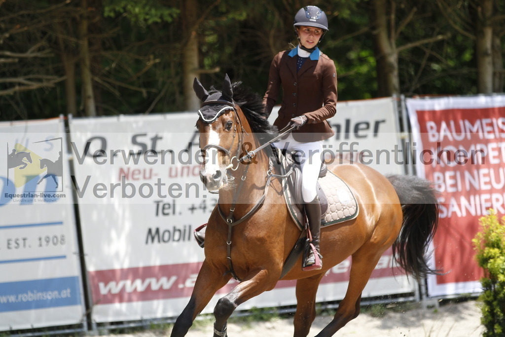 _MG_2013 | equestrian-live-com