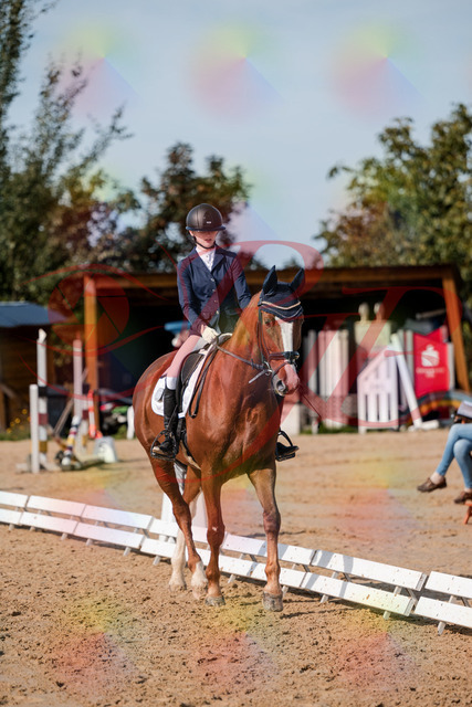 2026_10_03_Siefer-Hof_123654_Z63_54517651 | Professionelle Reitsport-, Turnier- und Eventfotografie von Robert Broda. Galerien mit ausgewählten und bearbeiteten Bildern direkt online ansehen und bestellen.