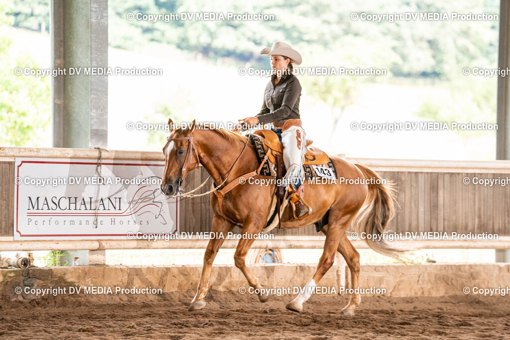 Erbach Tag 1-716 | dv-media-shop - Realisiert mit Pictrs.com