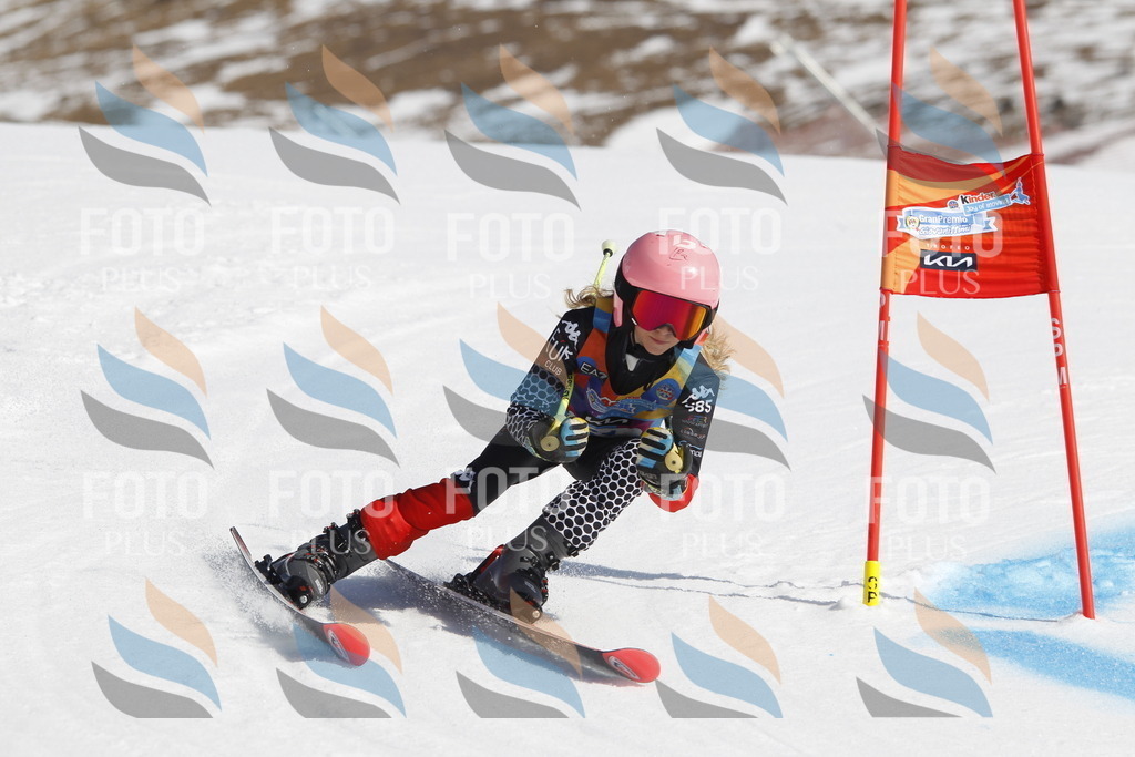 _U3G9636 | holidayphoto