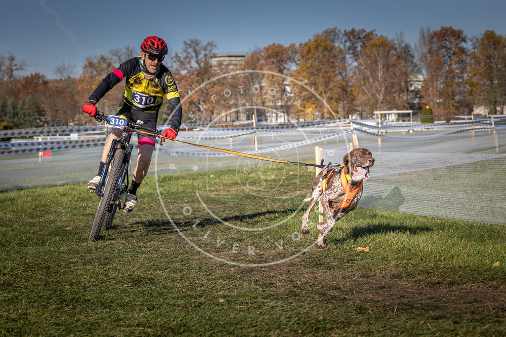 CaniXpix_0L8A5560 | Hundefotografie, Tierfotograf, Pfotenfotografie, Fotoshooting Hund, Hunde Portrait, Hundesport, Hundeportraits, Heideshooting, Hunde, Sportfotograf, Hundefotograf, Turnierhundsport, THS,  - Realisiert mit Pictrs.com