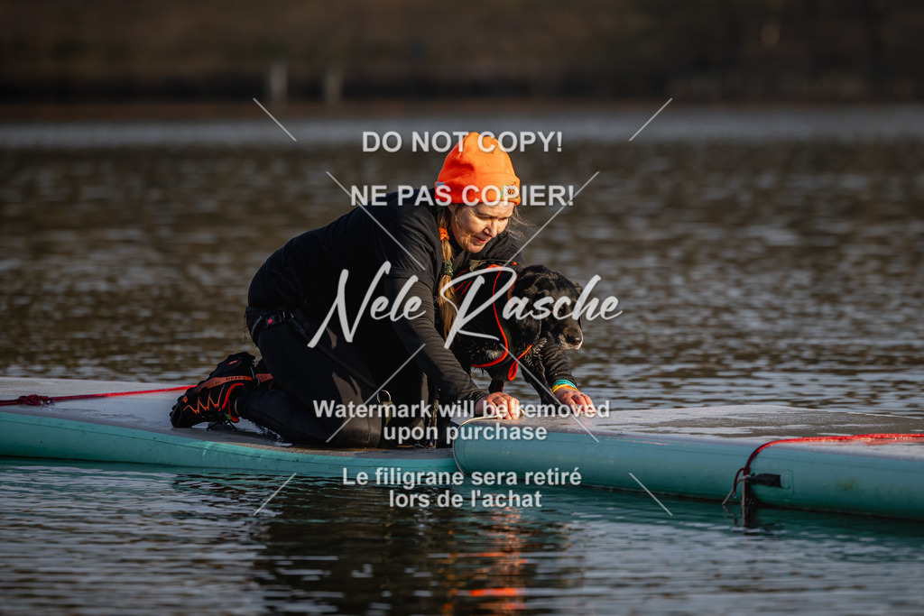 nelerasche_Hulsbeek_Sa1700-1730_92 | nelerasche