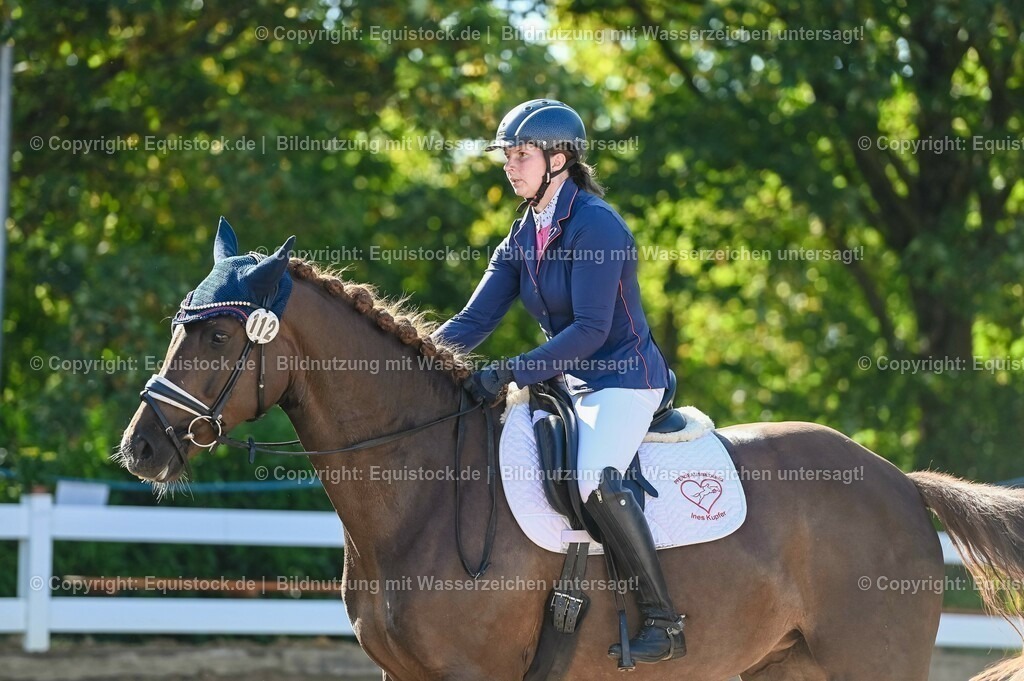 20230715_06_Dressurpferdeprfg. Kl.A_0162 | equistock