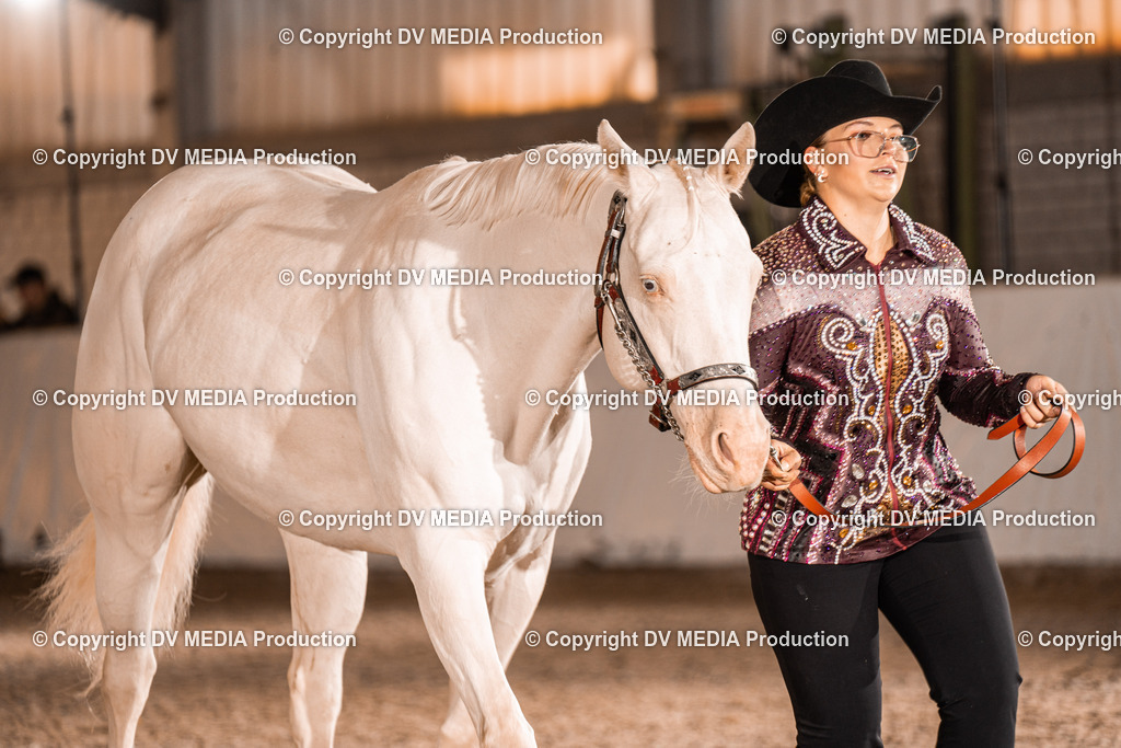 ZH100022 | dv-media-shop - Realisiert mit Pictrs.com