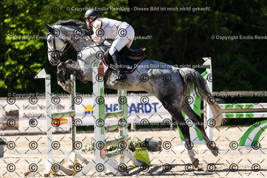 CL5A2928 | Emilia Reinking Fotografie - Realisiert mit Pictrs.com