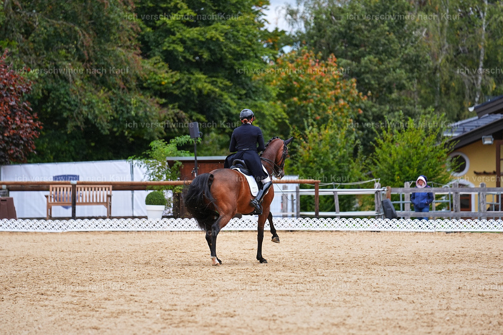 8_1-100-Klasse S_  -Marixx-4212 | working equitationturnier fotograf videograf stoibphotography marixx film working equitation deutschland reitsport turnierfotografie eventfotografie equestrian events