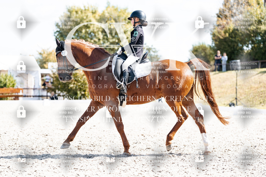 CK903118 | Turnierfotografie Pferdefotografie Trier Rheinland-Pfalz Pferdesport Reitsport Tierfotografie Sportfotografie Pferdevideo Pferdevideografie Equestrianvideography equestrianphotography  - Realisiert mit Pictrs.com