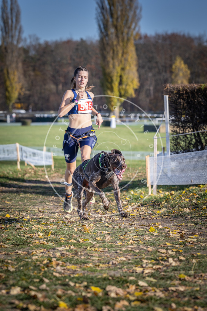 CaniXpix_DV3A9364 | Hundefotografie, Tierfotograf, Pfotenfotografie, Fotoshooting Hund, Hunde Portrait, Hundesport, Hundeportraits, Heideshooting, Hunde, Sportfotograf, Hundefotograf, Turnierhundsport, THS,  - Realisiert mit Pictrs.com