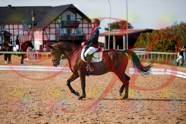 2026_10_03_Siefer-Hof_131210_Z63_75539809 | Professionelle Reitsport-, Turnier- und Eventfotografie von Robert Broda. Galerien mit ausgewählten und bearbeiteten Bildern direkt online ansehen und bestellen.