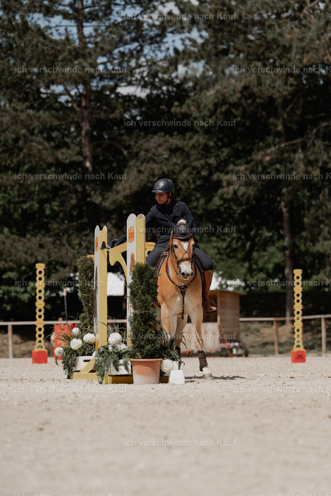 WE_ST_Stoib_308_PI2025_994 | Pferd International München 2025