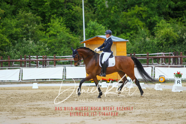 DKP46364 | Turniersportfotografie; Pferdefotografie; Dressurfotografie