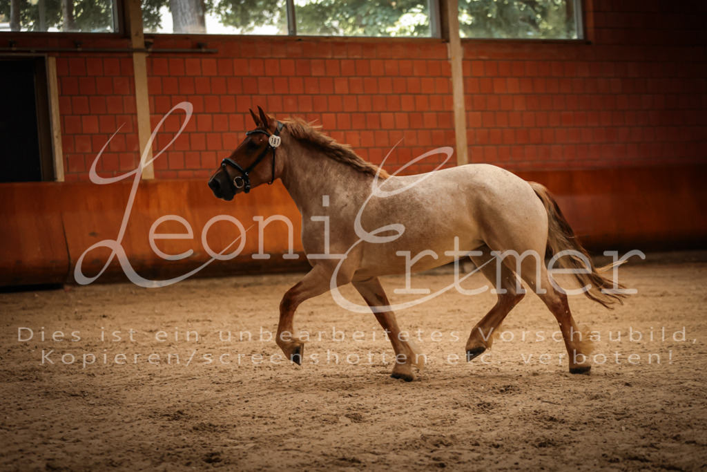 SaFL00078 | Leoni Ertmer Photography - Realisiert mit Pictrs.com
