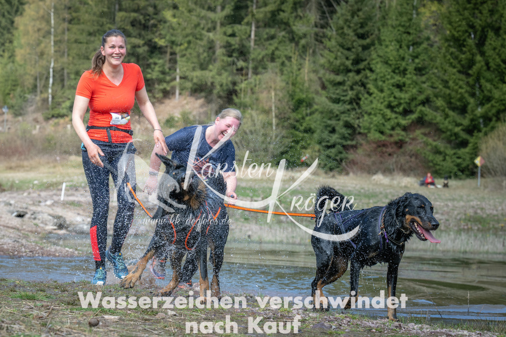 1114_ZZ93449 | kk-dogfotos