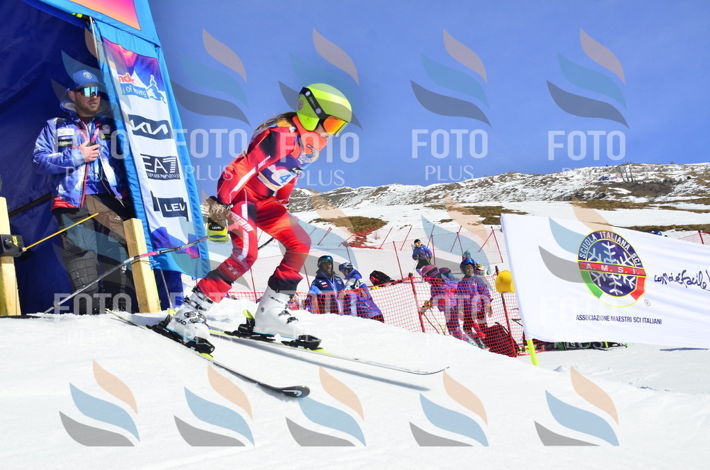 _ELE0067 | holidayphoto